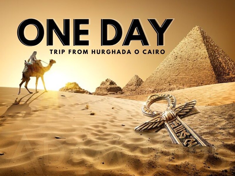 From Marsa Alam: One-Day Trip to Cairo and Giza by Bus